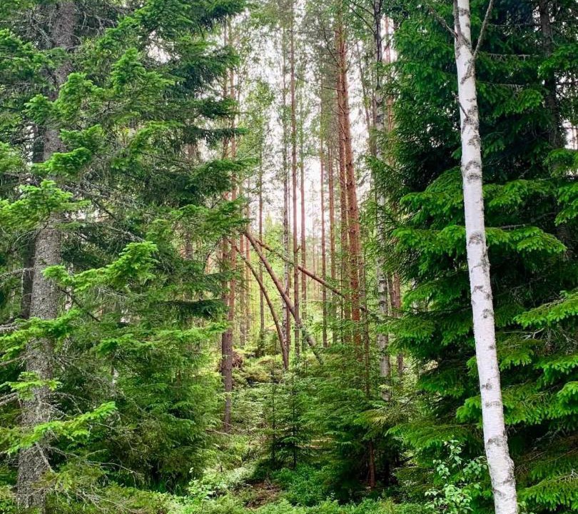 Photo of Others in Amotsbruk