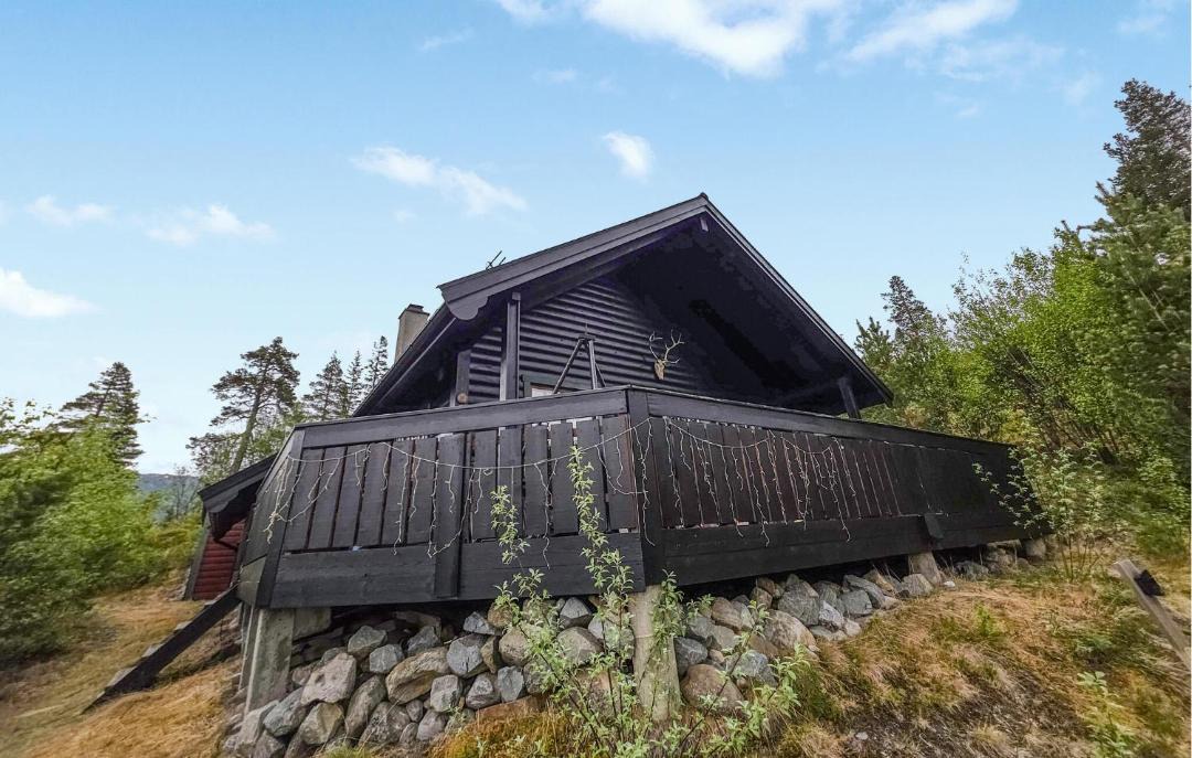 Photo of Others in Nore og Uvdal