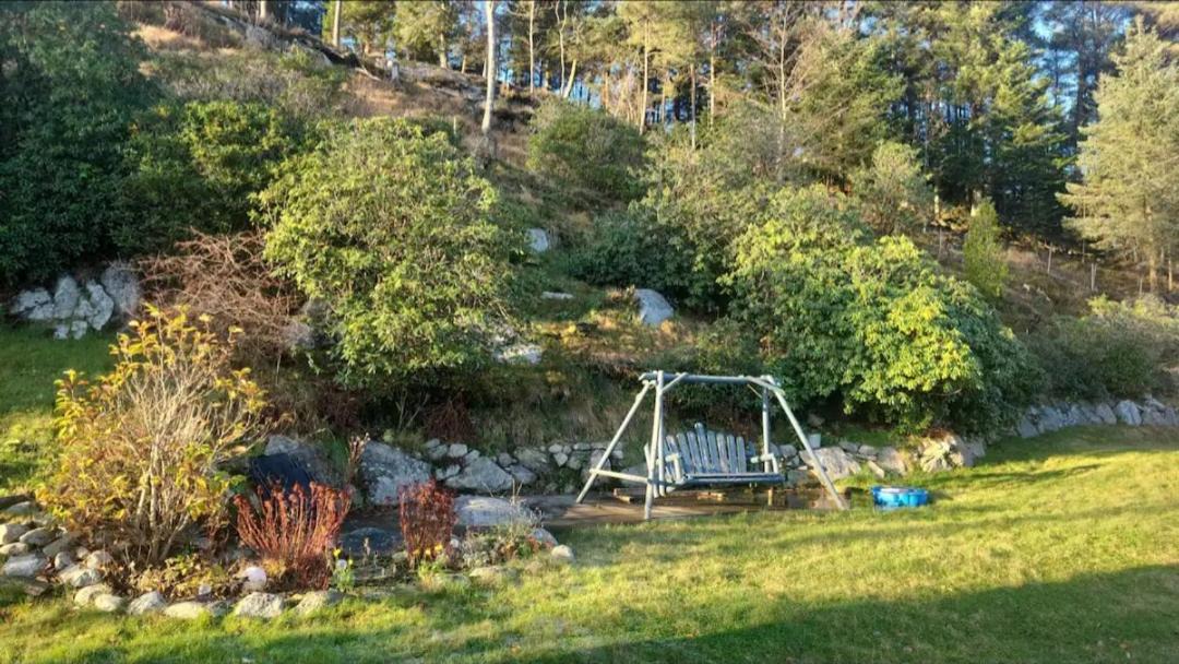 Photo of Outdoor in Haugesund