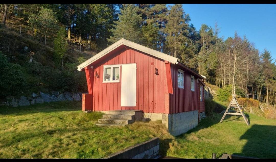 Photo of Others in Haugesund