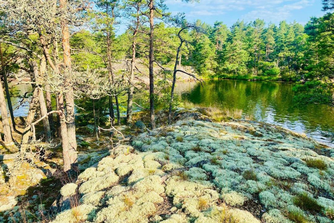 Photo of Others in Fagelfors