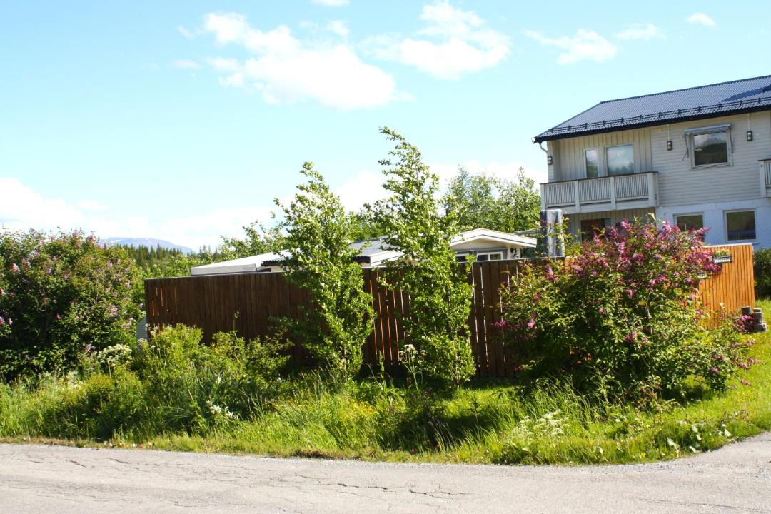 Photo of Others in Dyroy Municipality