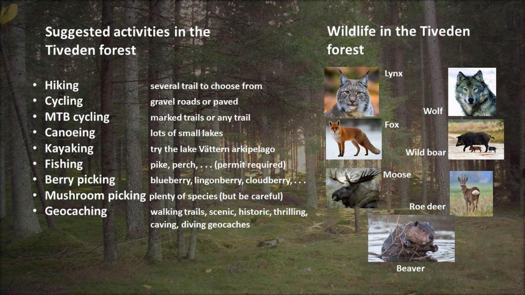 Photo of Others in Askersund