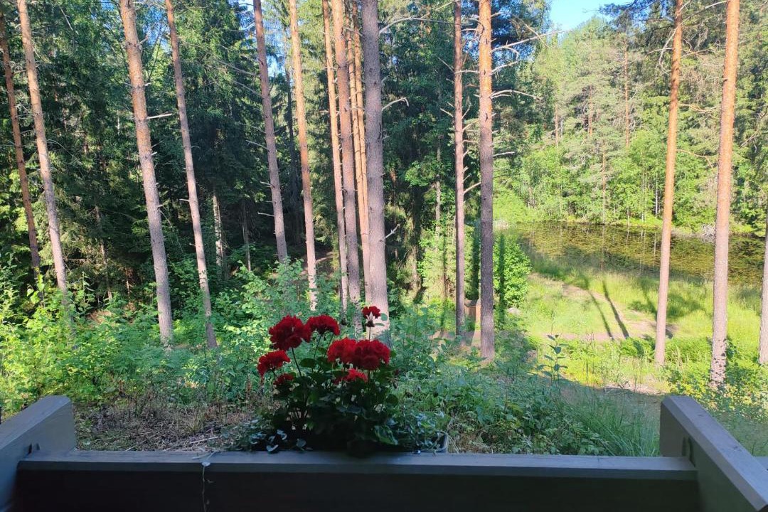 Photo of Others in Lohja