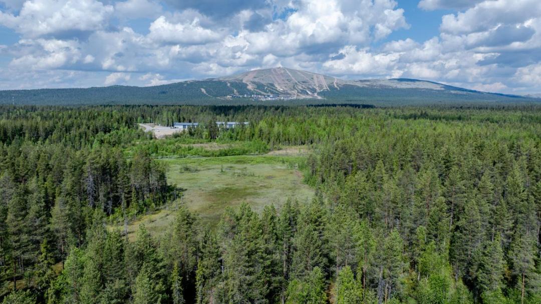 Photo of Others in Yllasjarvi