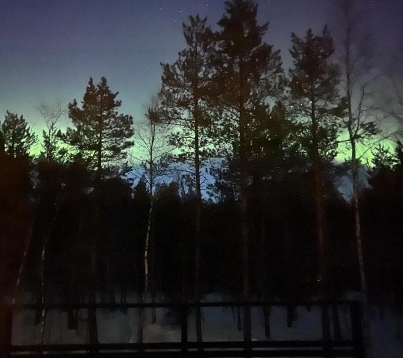 Photo of Others in Yllasjarvi