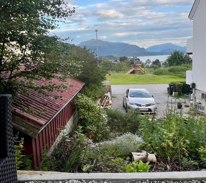 Photo of Others in Kristiansund