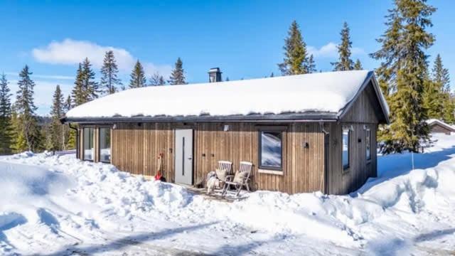 Photo of Others in Trysil