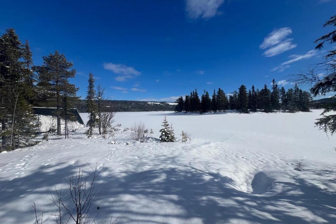 Photo of Others in Trysil