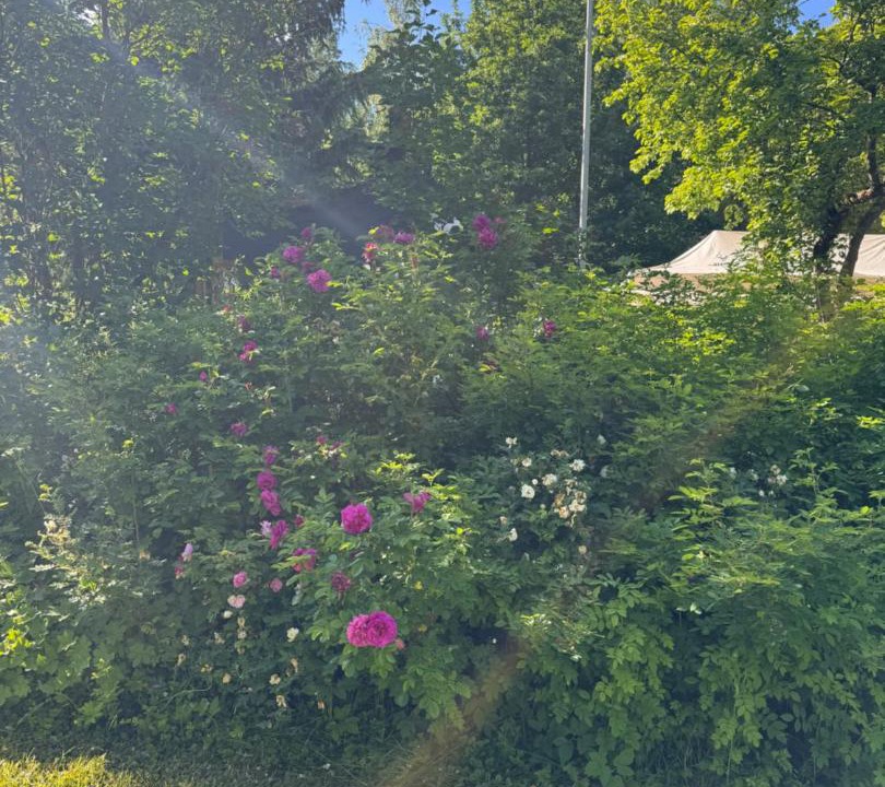 Photo of Outdoor in Nurmijarvi