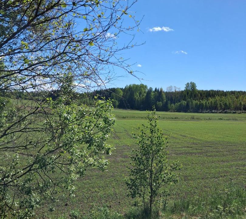 Photo of Others in Bullaren
