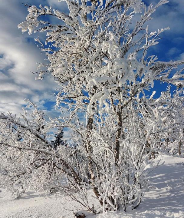 Photo of Others in Nord-Aurdal
