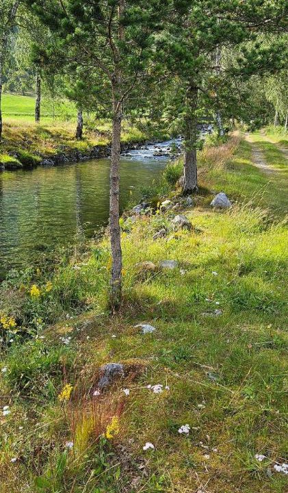 Photo of Others in Stryn