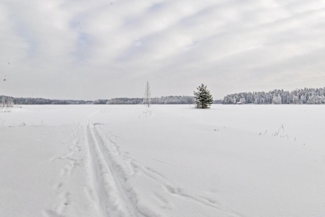 Photo of Others in Pertunmaa