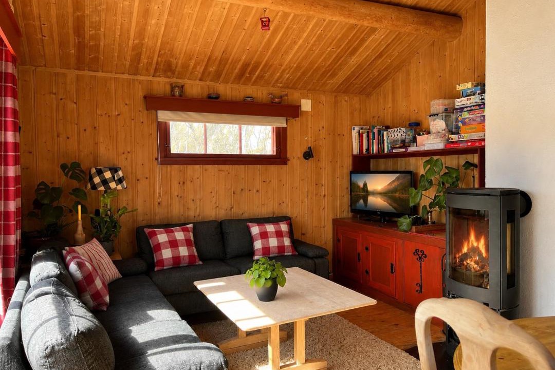 Photo of Livingroom in Geilo
