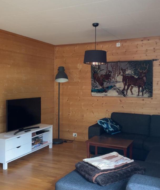 Photo of Livingroom in Gol