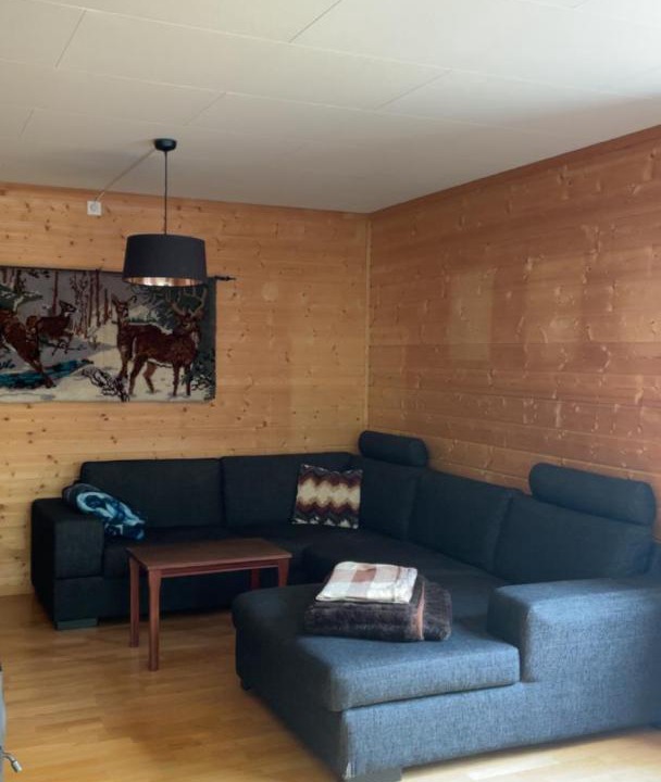 Photo of Livingroom in Gol