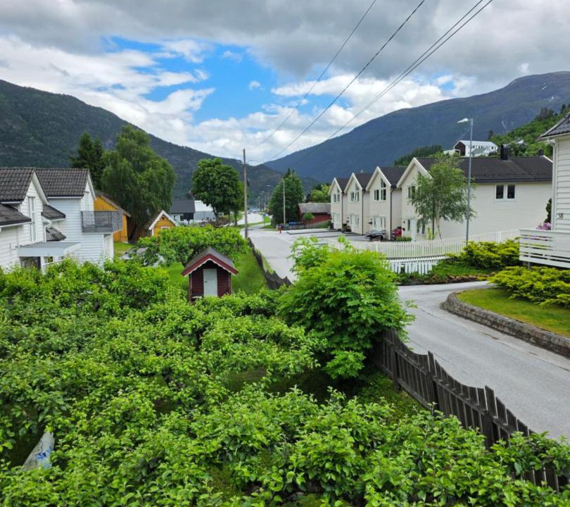 Photo of Others in Sogndal