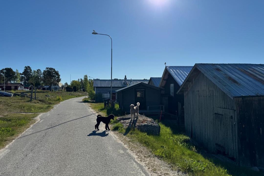 Photo of Others in Nordanstig Municipality