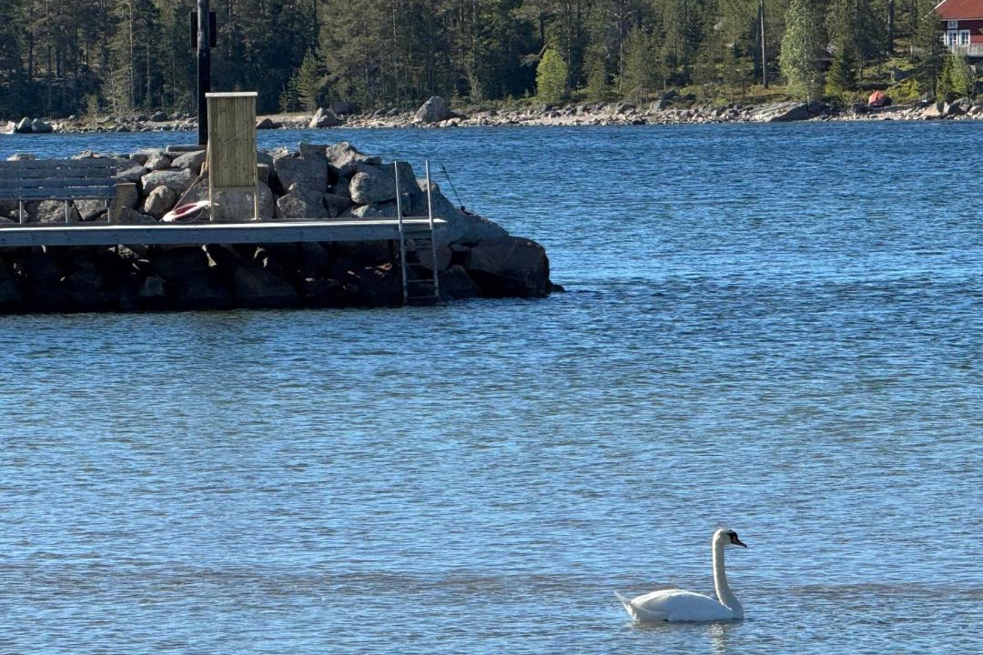 Photo of Others in Nordanstig Municipality