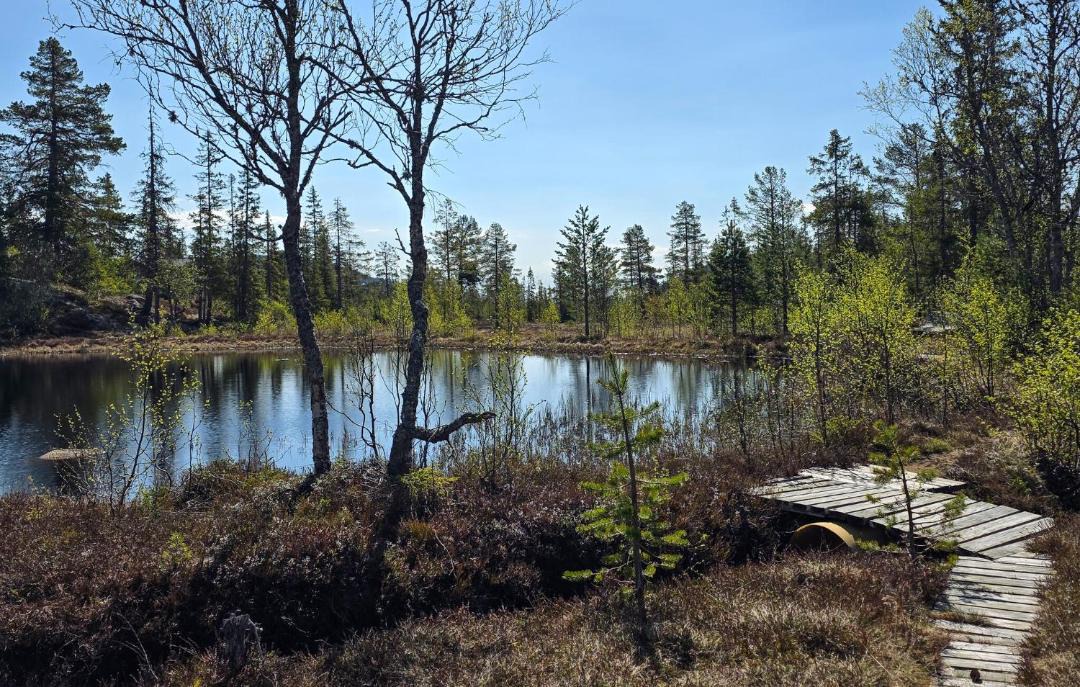 Photo of Others in Hjartdal Municipality