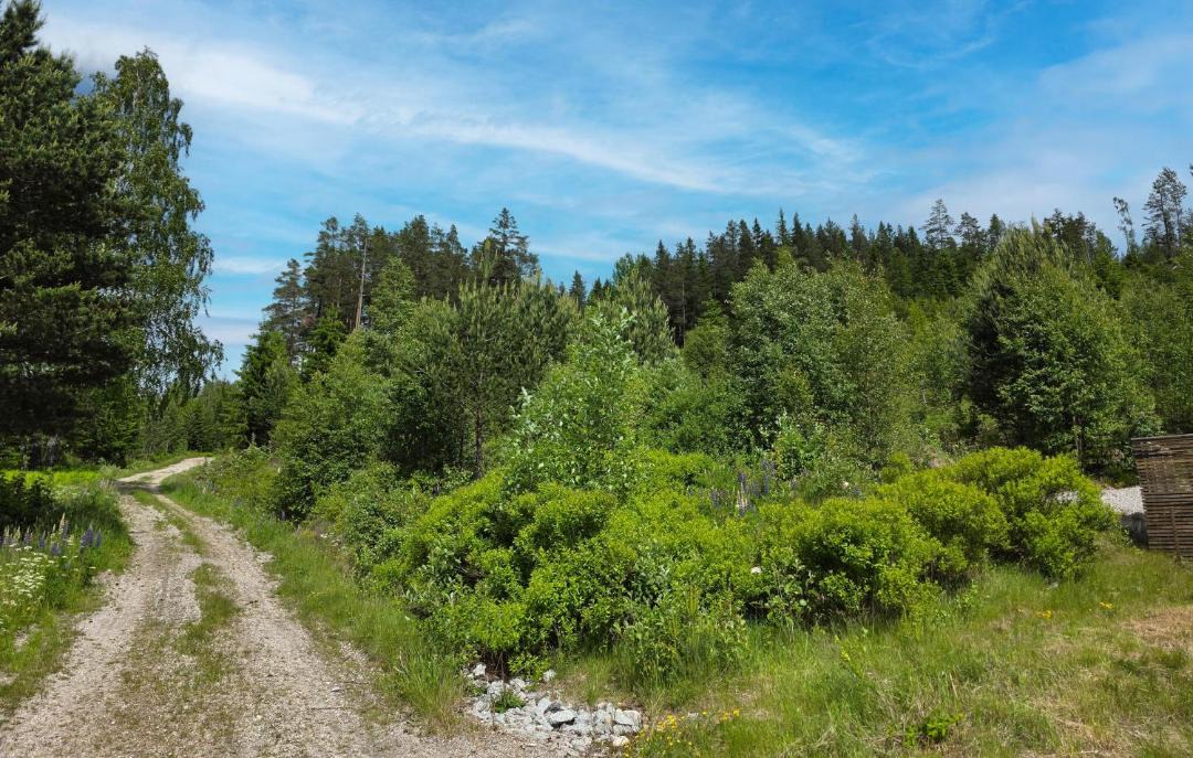 Photo of Others in Nissedal