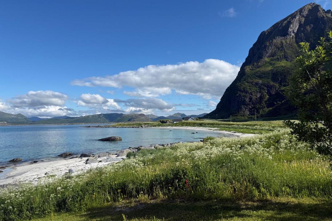 Photo of Others in Vestvagøy
