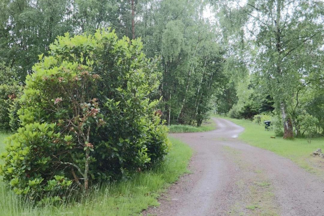 Photo of Outdoor in Fasalt