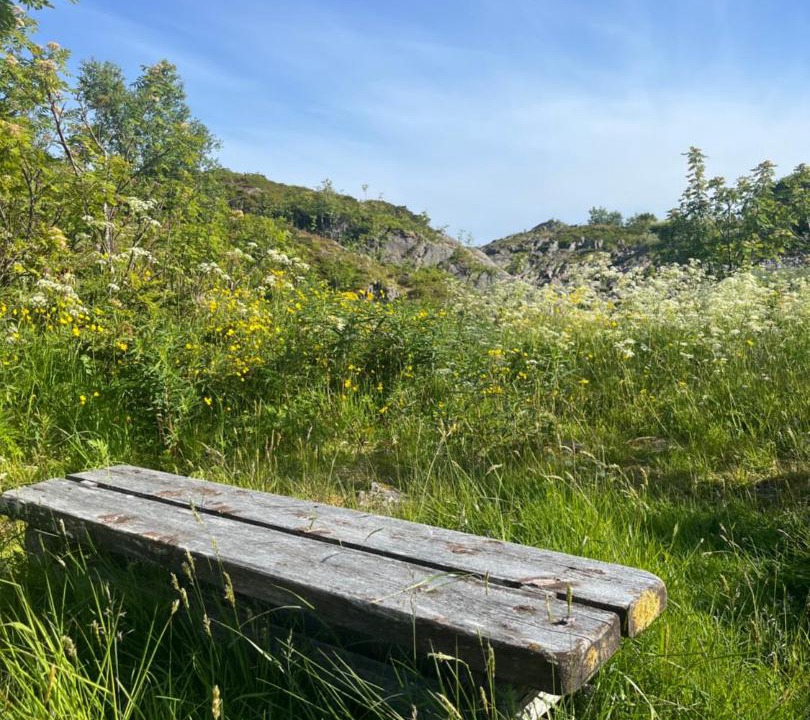 Photo of Others in Kabelvag