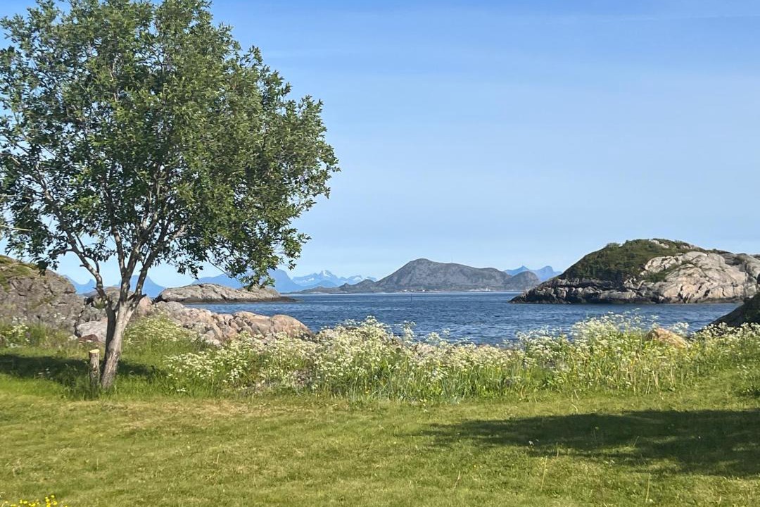 Photo of Others in Kabelvag