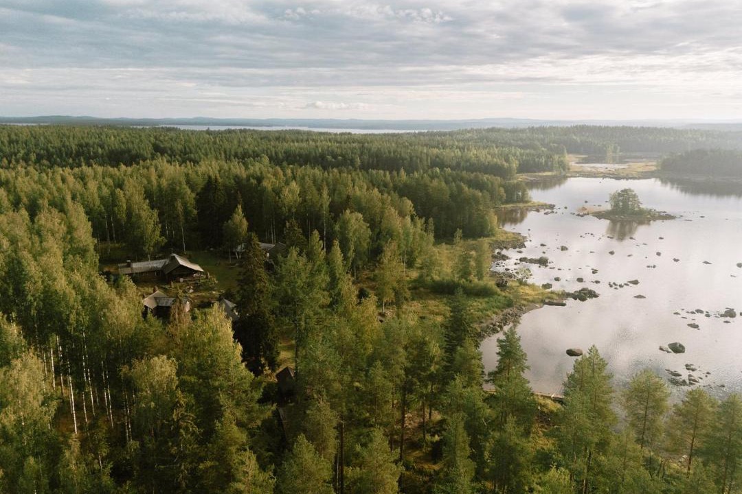 Photo of Others in Koli National Park