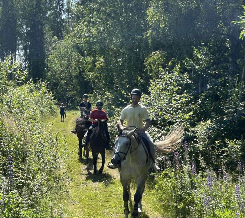 Photo of Others in Sandviken
