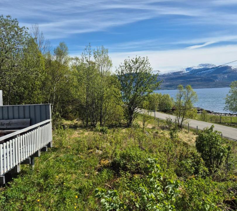 Photo of Others in Tjeldsund