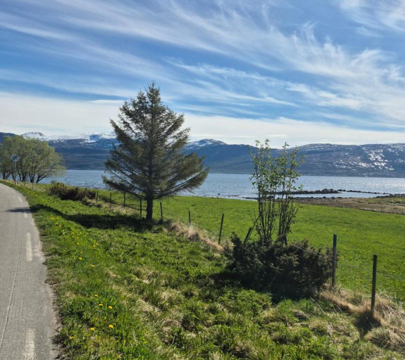 Photo of Others in Tjeldsund
