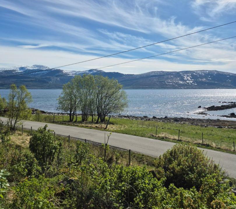 Photo of Others in Tjeldsund