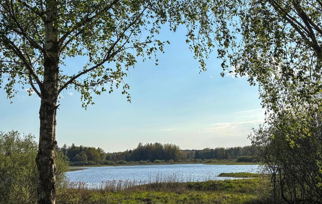 Photo of Others in Vissefjaerda