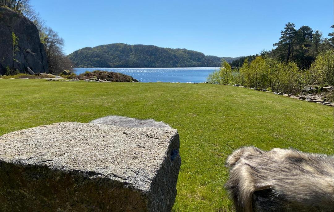Photo of Others in Lyngdal