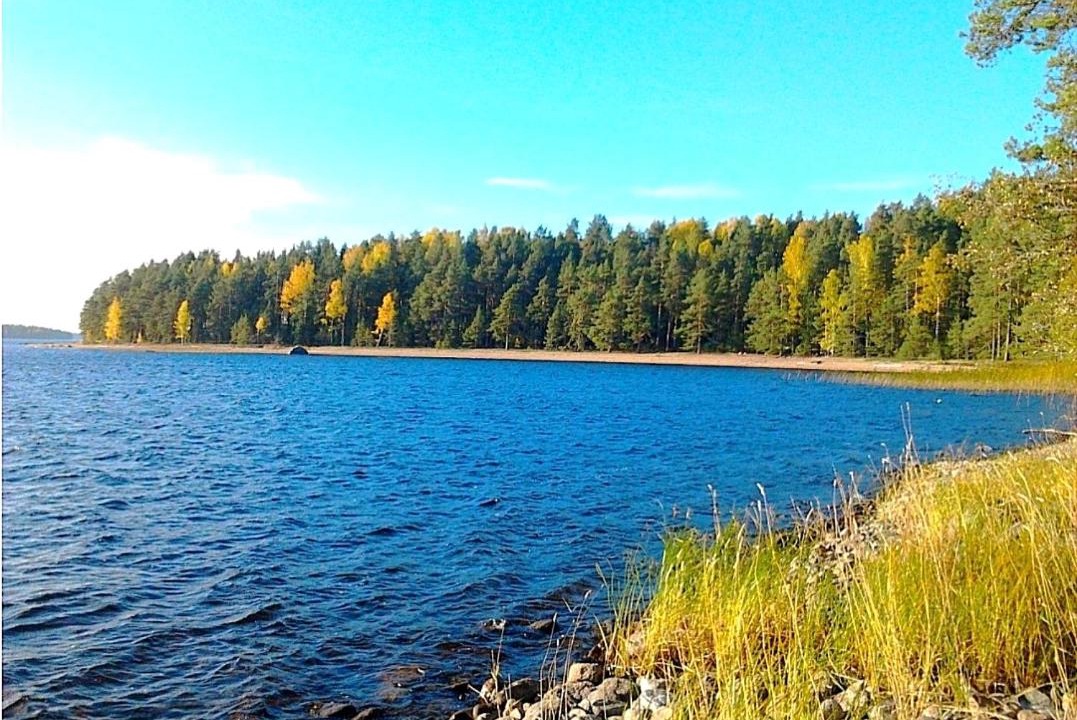 Photo of Others in Ruokolahti