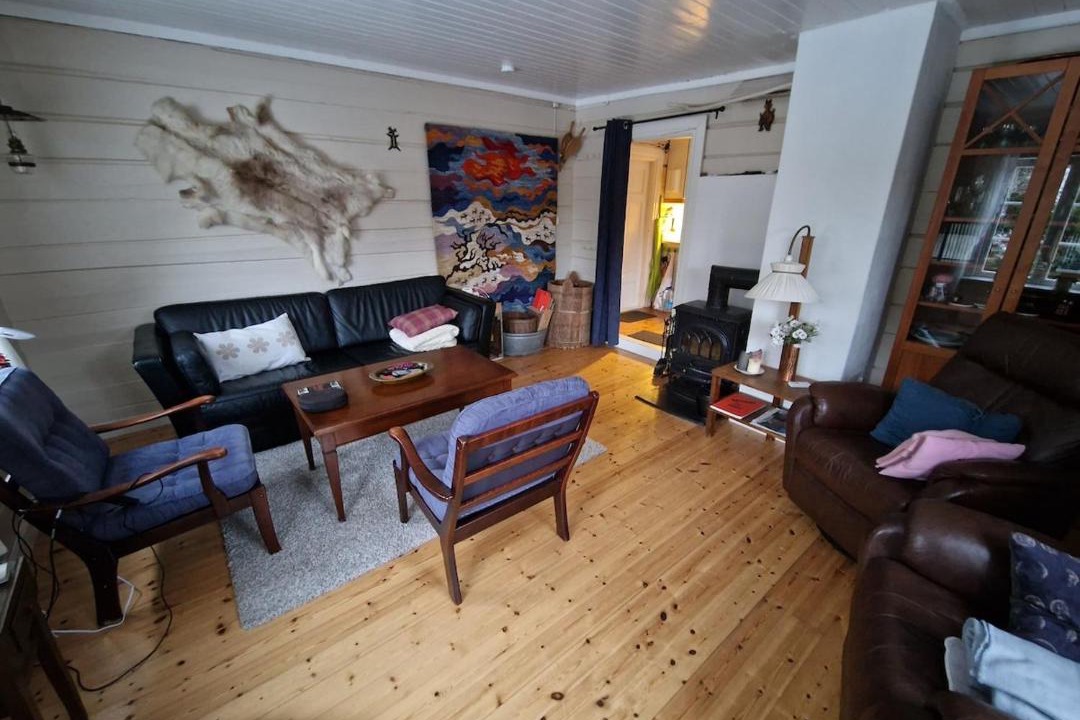 Photo of Livingroom in Vinje