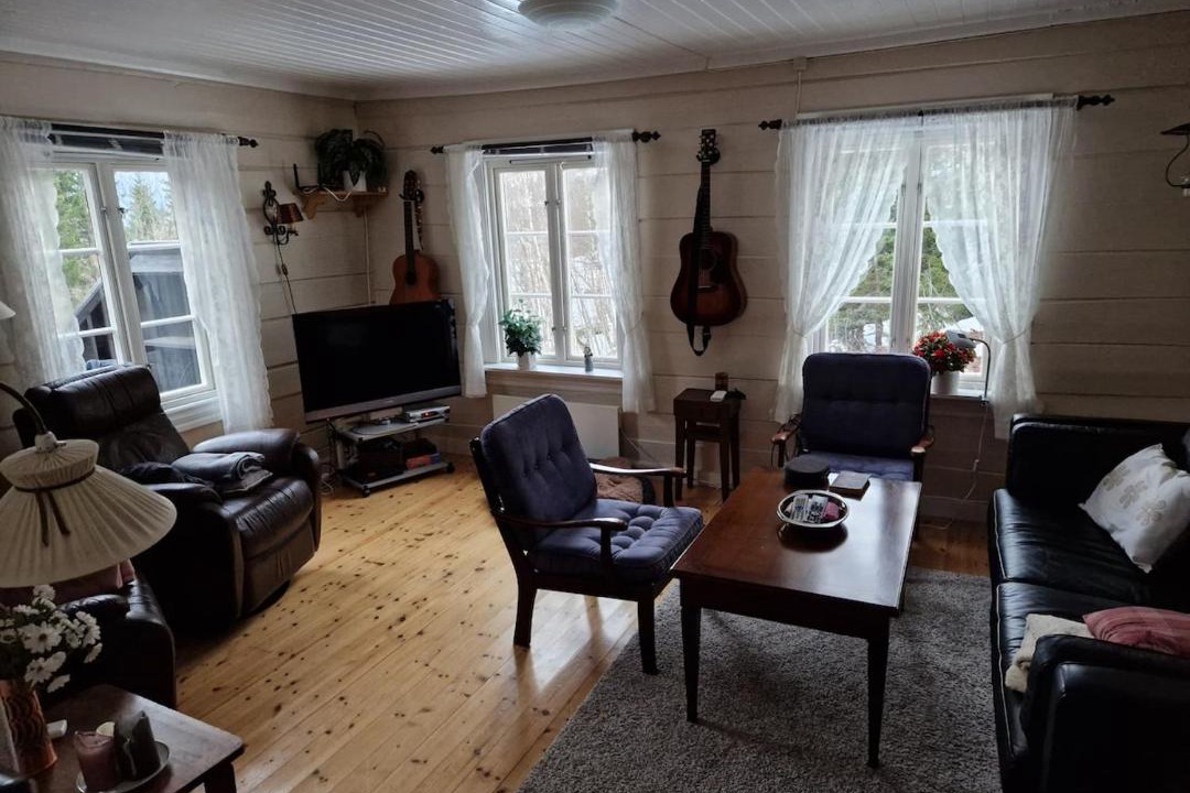 Photo of Livingroom in Vinje