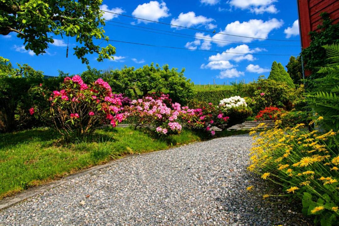 Photo of Outdoor in Sandane