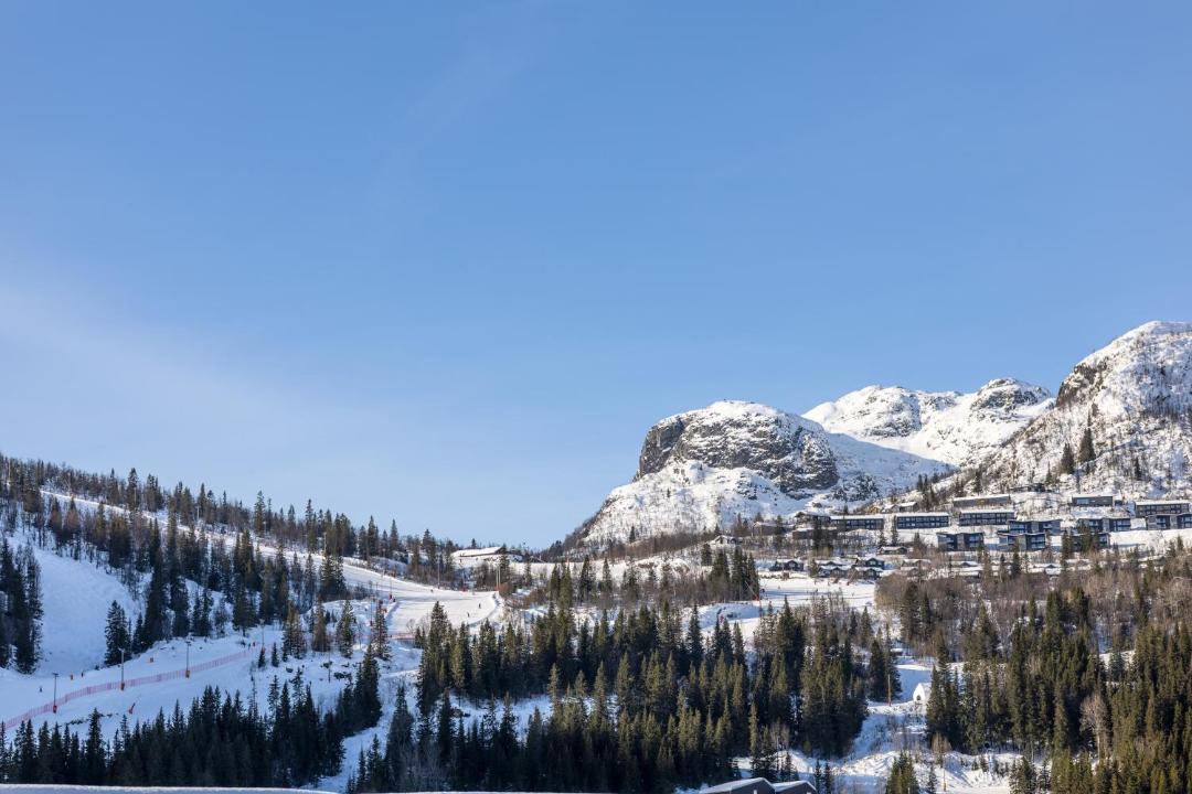 Photo of Others in Hemsedal