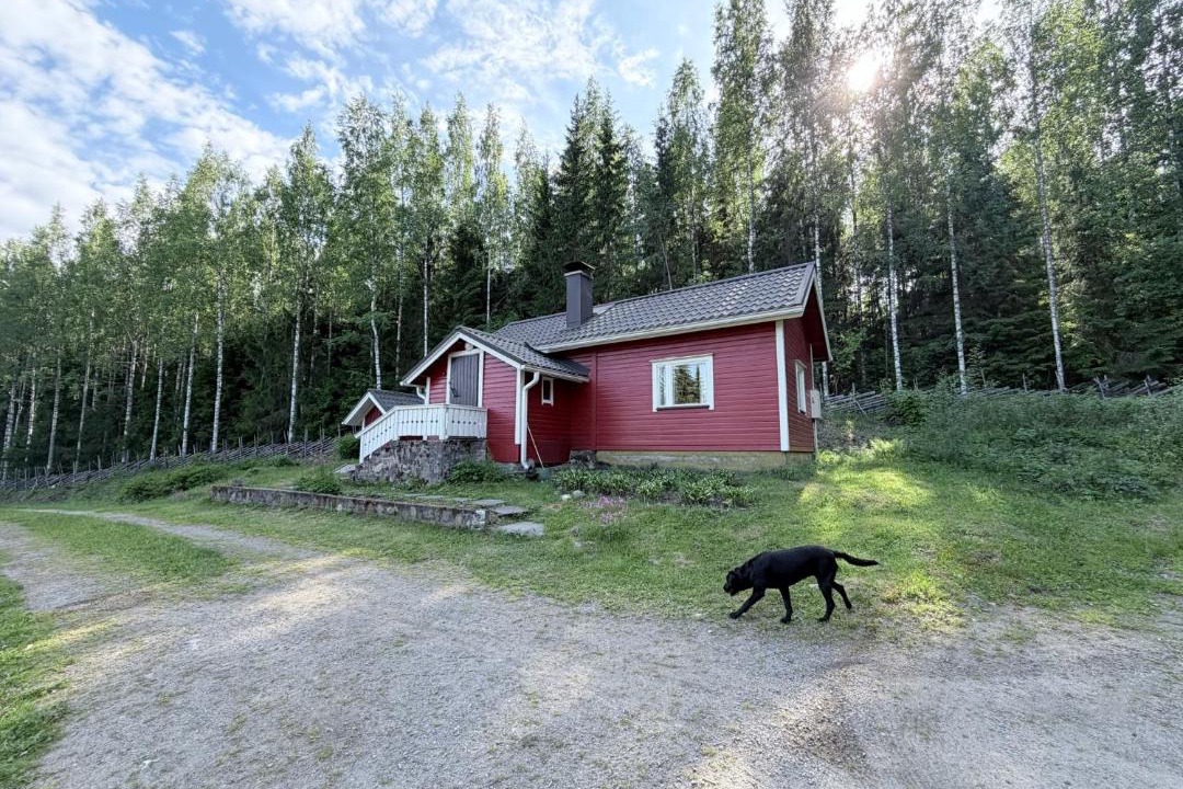 Photo of Others in Koli National Park