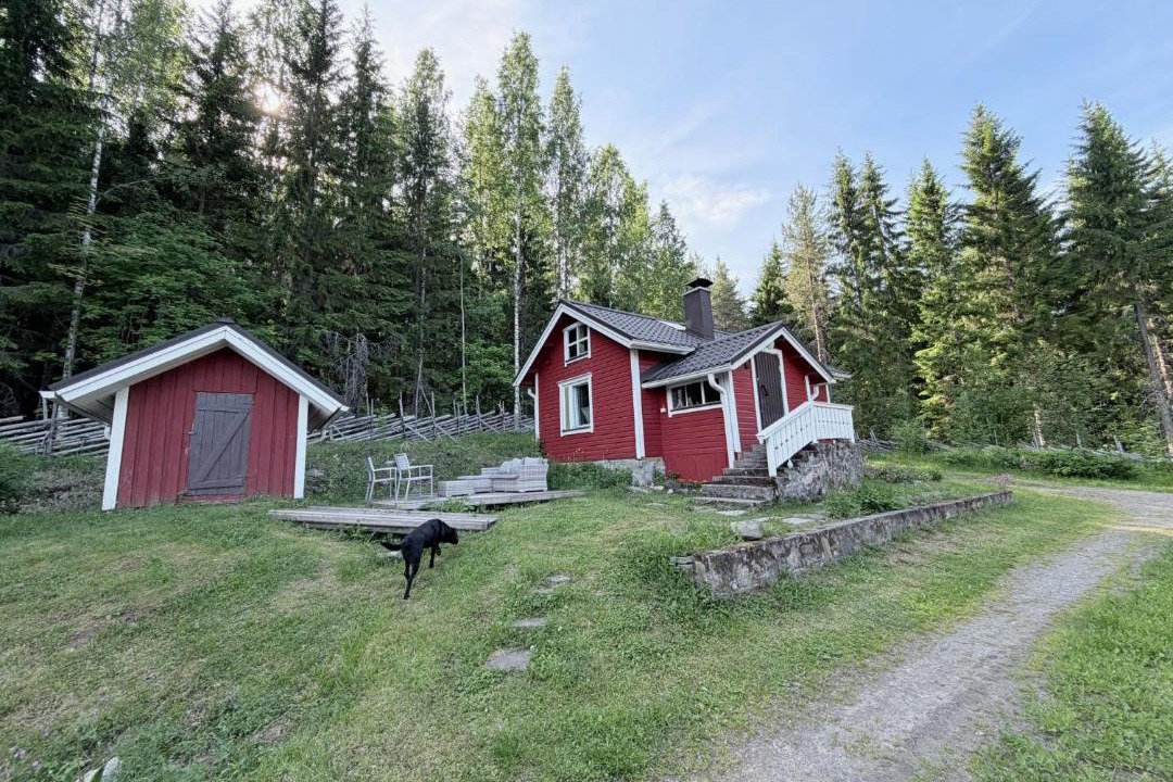 Photo of Others in Koli National Park
