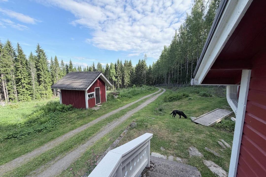 Photo of Others in Koli National Park