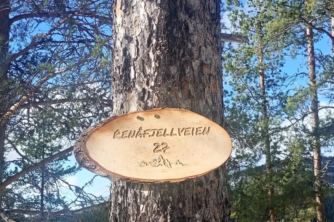 Photo of Outdoor in Akrestrømmen