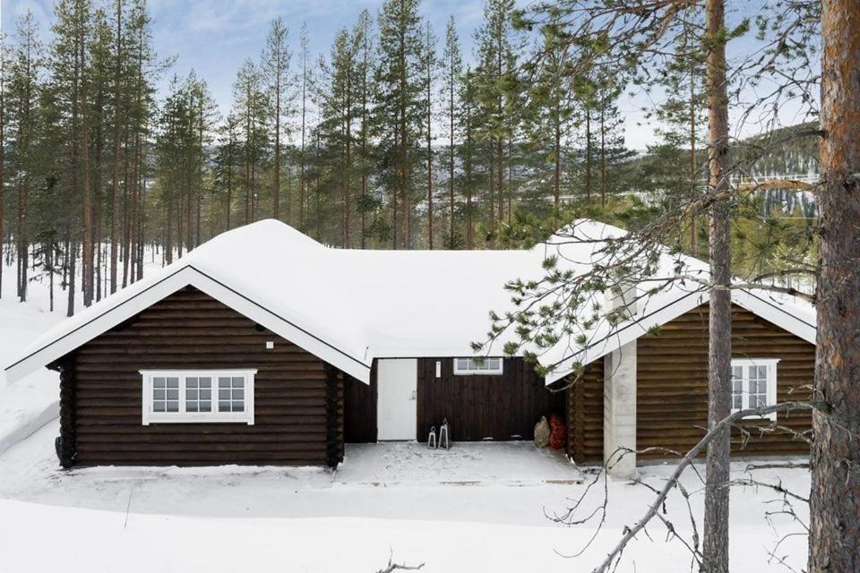Photo of Others in Akrestrømmen