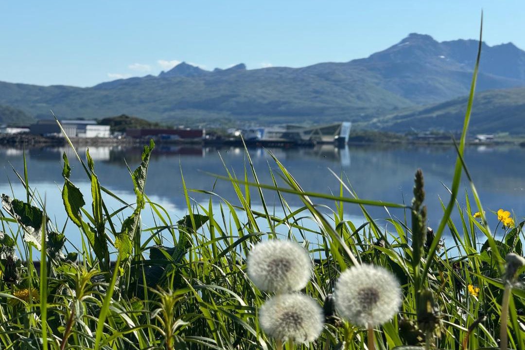 Photo of Others in Gravdal