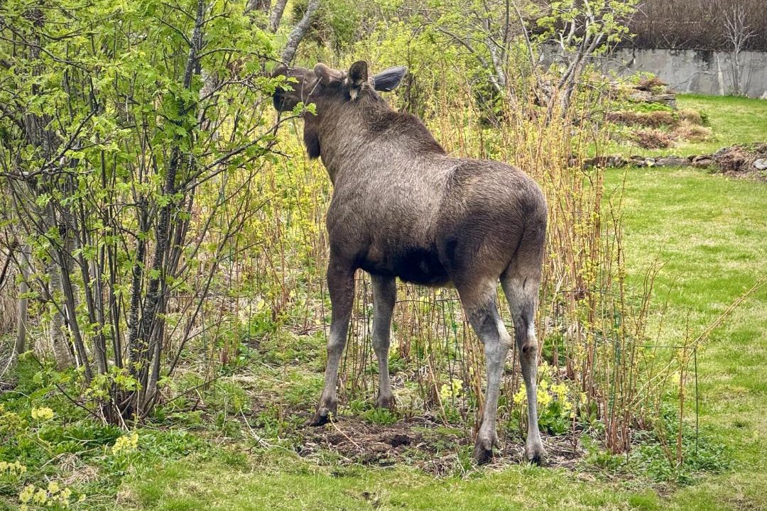 Photo of Others in Gravdal