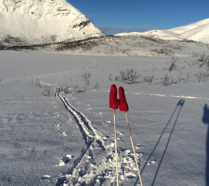 Photo of Others in Knarrvika